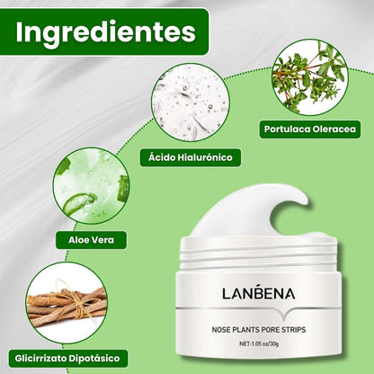Lanbena®: Mascarilla avanzada para puntos negros