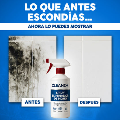Spray removedor de moho y hongos - Cleanox™